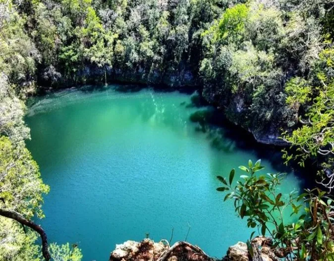 Jungle cenote with turquoise water