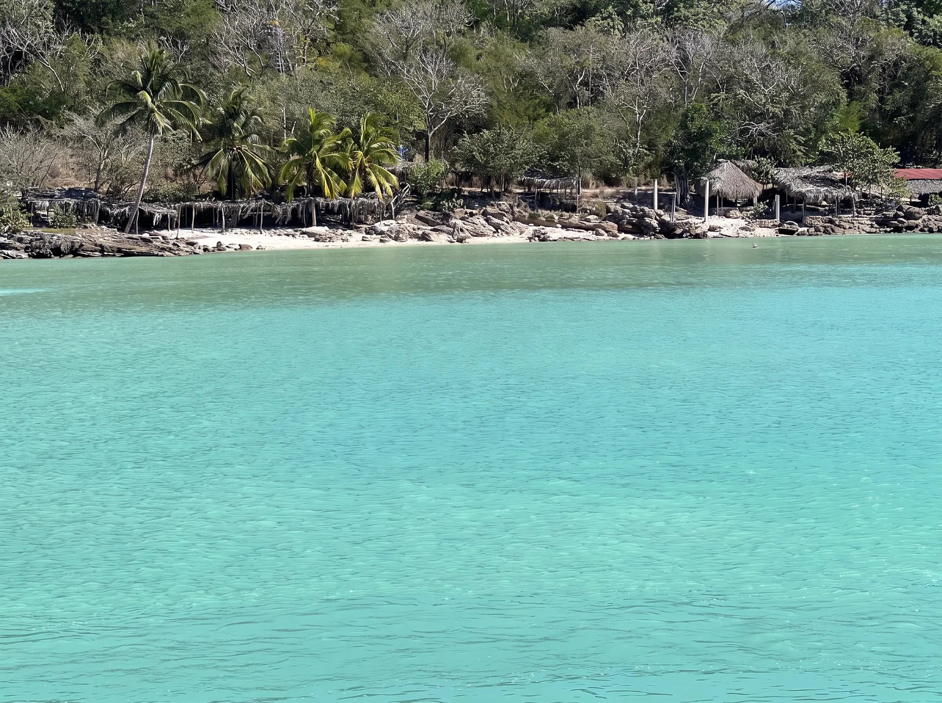 Oceanfront jungle shoreline in Campeche, México